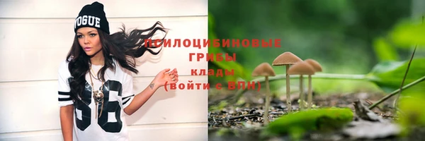 бошки Армянск