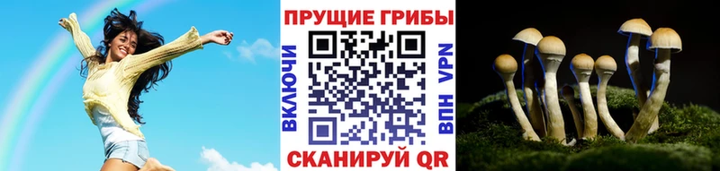 Галлюциногенные грибы Psilocybe  гидра зеркало  Спасск-Рязанский 